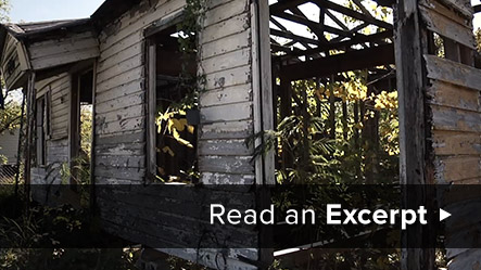 Book Excerpt